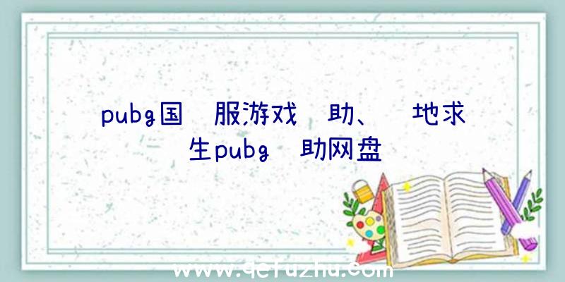 pubg国际服游戏辅助、绝地求生pubg辅助网盘