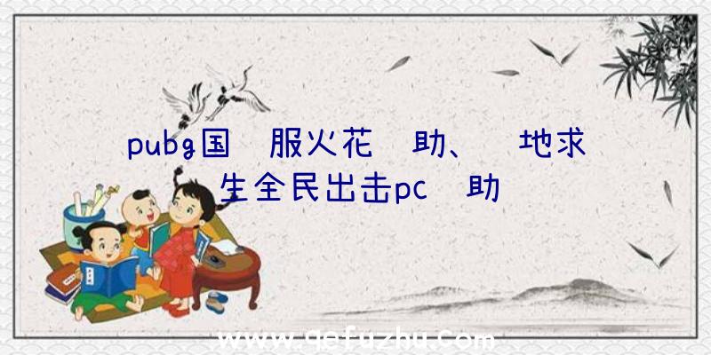 pubg国际服火花辅助、绝地求生全民出击pc辅助