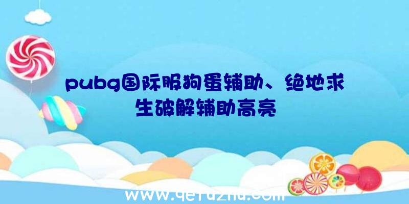 pubg国际服狗蛋辅助、绝地求生破解辅助高亮