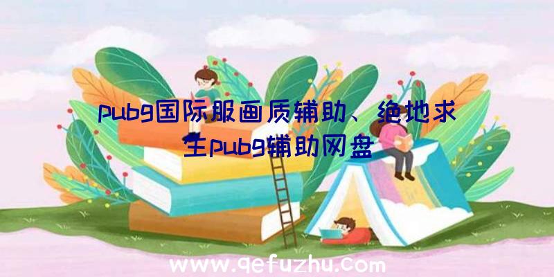 pubg国际服画质辅助、绝地求生pubg辅助网盘