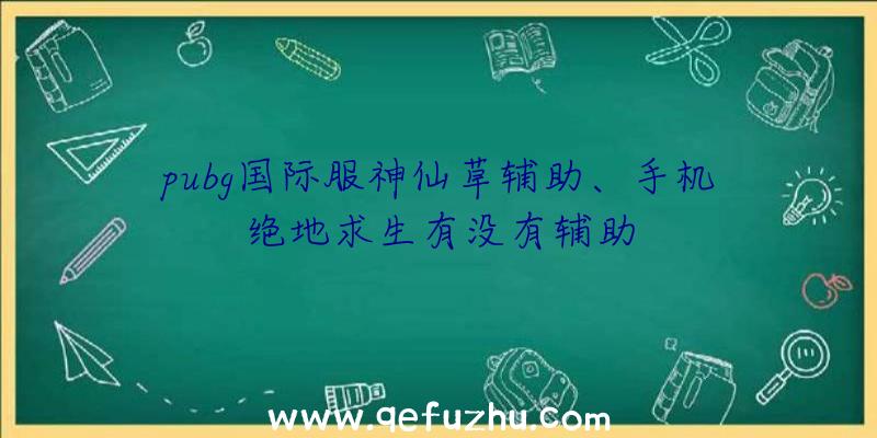 pubg国际服神仙草辅助、手机绝地求生有没有辅助