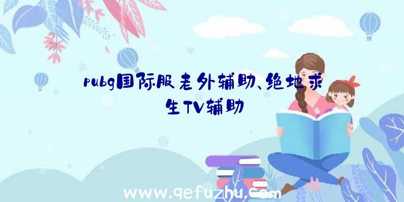 pubg国际服老外辅助、绝地求生TV辅助