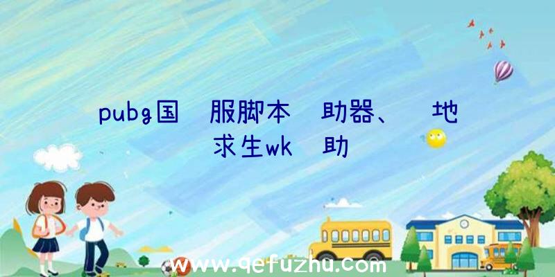 pubg国际服脚本辅助器、绝地求生wk辅助