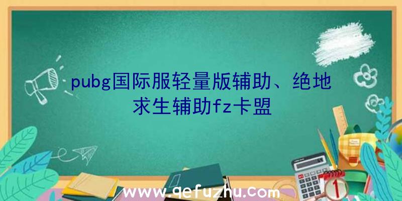 pubg国际服轻量版辅助、绝地求生辅助fz卡盟