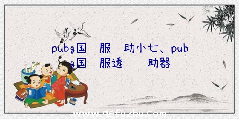 pubg国际服辅助小七、pubg国际服透视辅助器