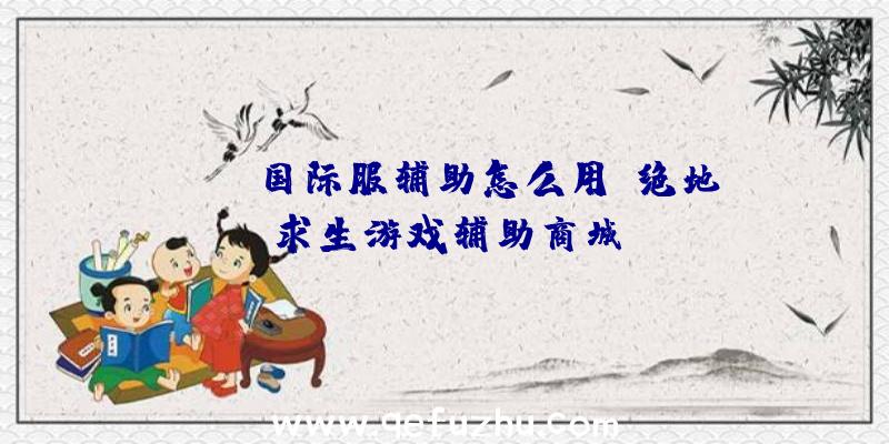 pubg国际服辅助怎么用、绝地求生游戏辅助商城