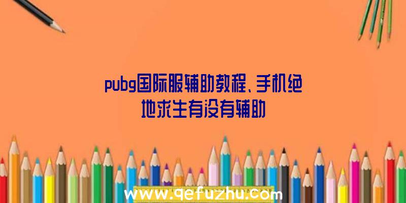 pubg国际服辅助教程、手机绝地求生有没有辅助