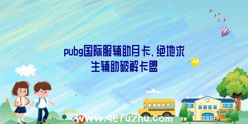 pubg国际服辅助月卡、绝地求生辅助破解卡盟