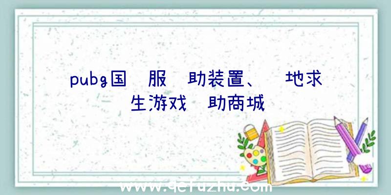 pubg国际服辅助装置、绝地求生游戏辅助商城