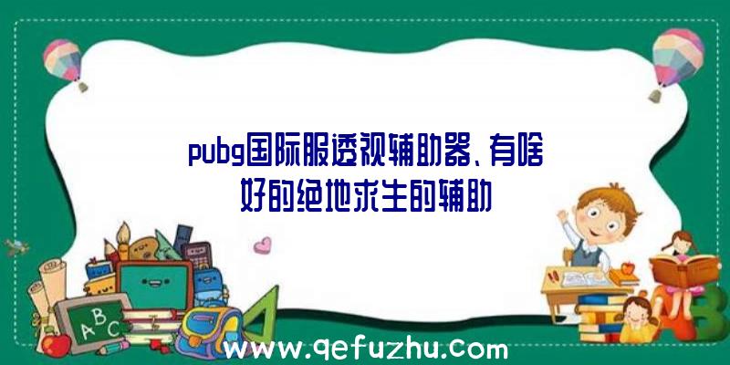 pubg国际服透视辅助器、有啥好的绝地求生的辅助