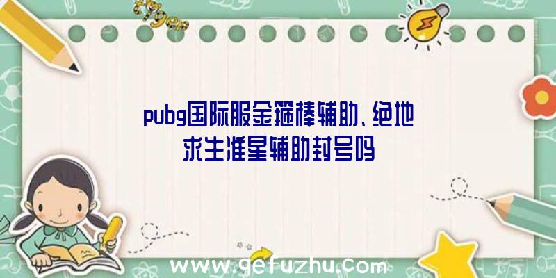 pubg国际服金箍棒辅助、绝地求生准星辅助封号吗