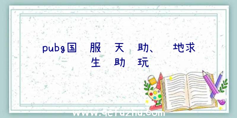 pubg国际服飞天辅助、绝地求生辅助试玩