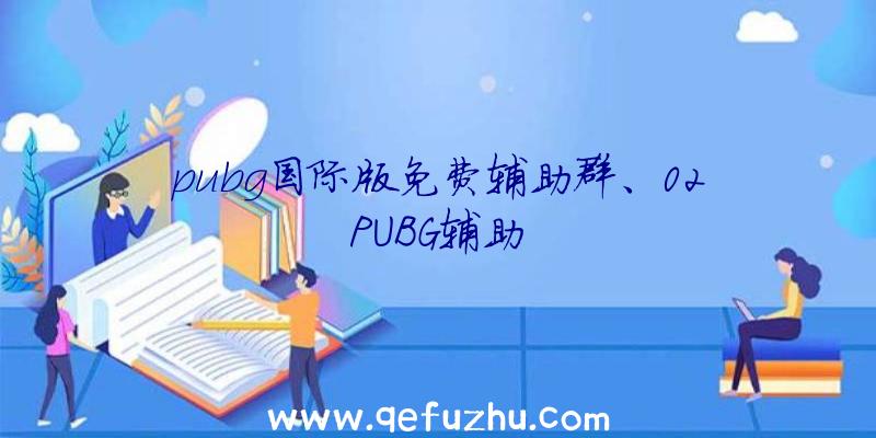 pubg国际版免费辅助群、02PUBG辅助