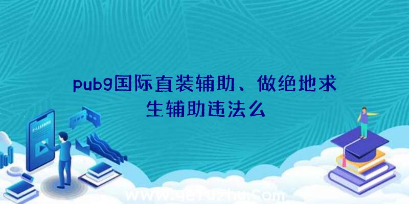 pubg国际直装辅助、做绝地求生辅助违法么