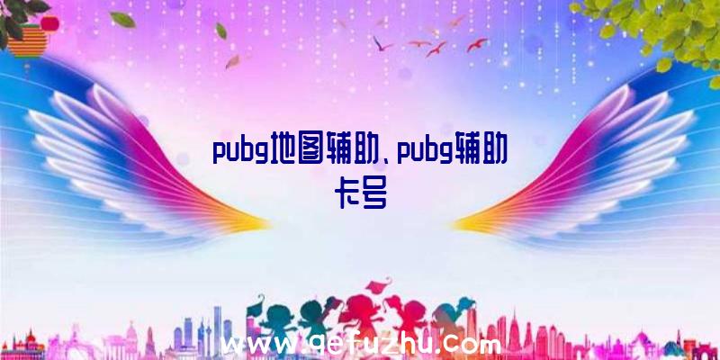 pubg地图辅助、pubg辅助卡号