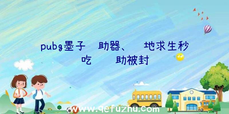 pubg墨子辅助器、绝地求生秒吃药辅助被封