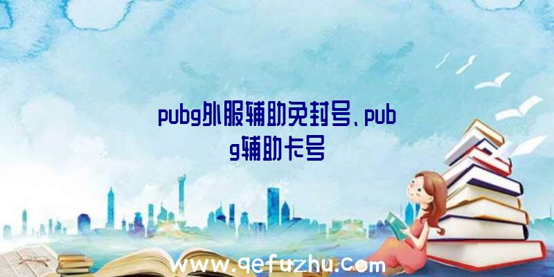 pubg外服辅助免封号、pubg辅助卡号