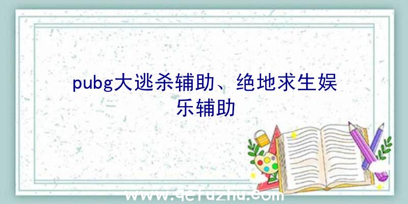 pubg大逃杀辅助、绝地求生娱乐辅助