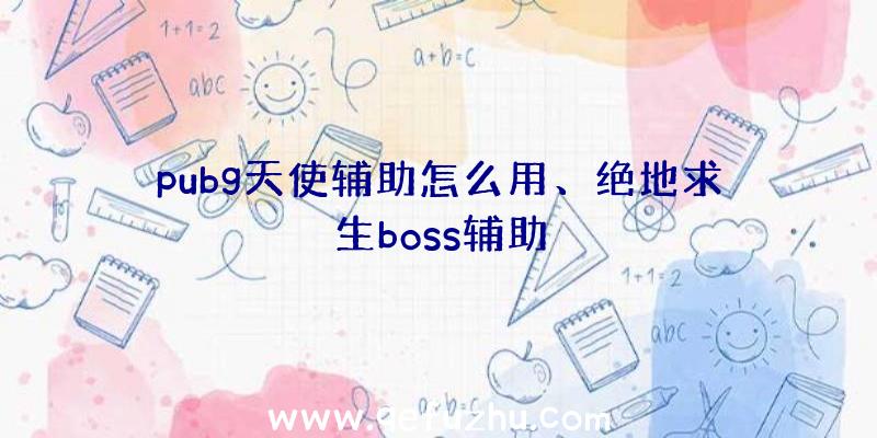 pubg天使辅助怎么用、绝地求生boss辅助