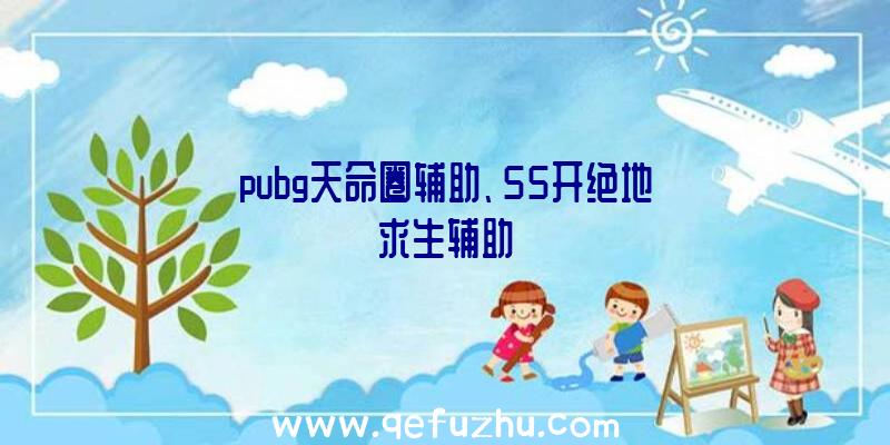 pubg天命圈辅助、55开绝地求生辅助