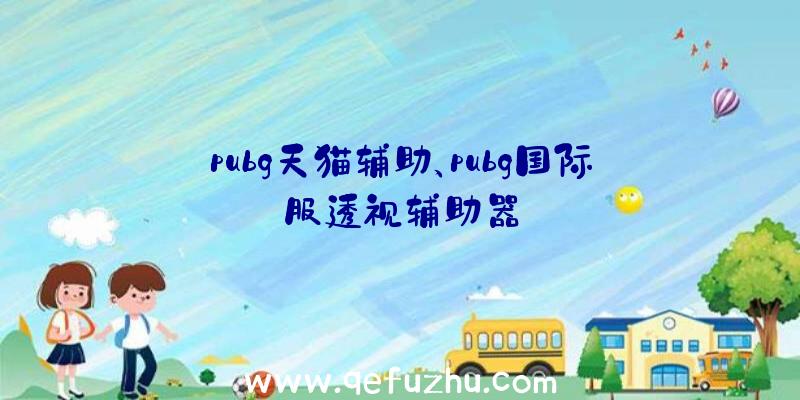 pubg天猫辅助、pubg国际服透视辅助器