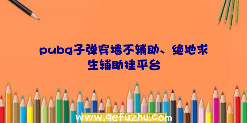 pubg子弹穿墙不辅助、绝地求生辅助挂平台