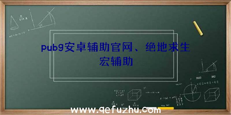 pubg安卓辅助官网、绝地求生宏辅助