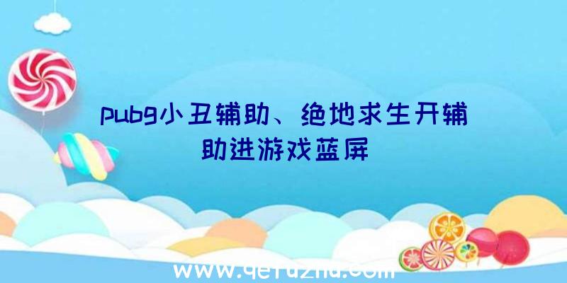 pubg小丑辅助、绝地求生开辅助进游戏蓝屏