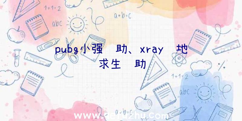 pubg小强辅助、xray绝地求生辅助