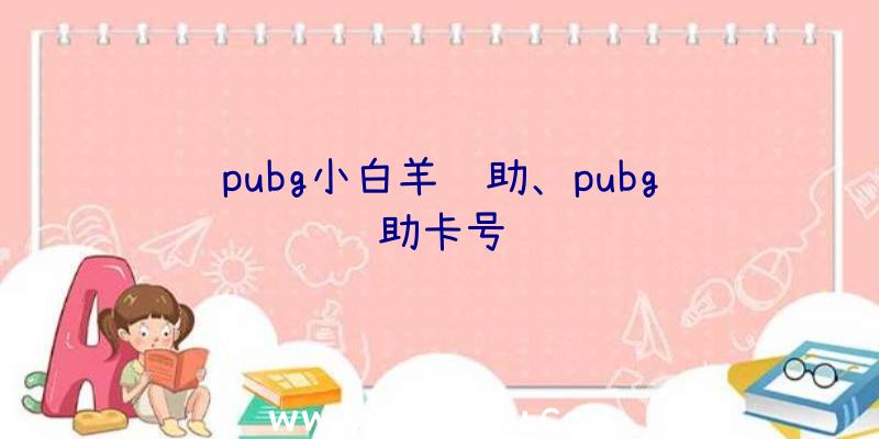 pubg小白羊辅助、pubg辅助卡号