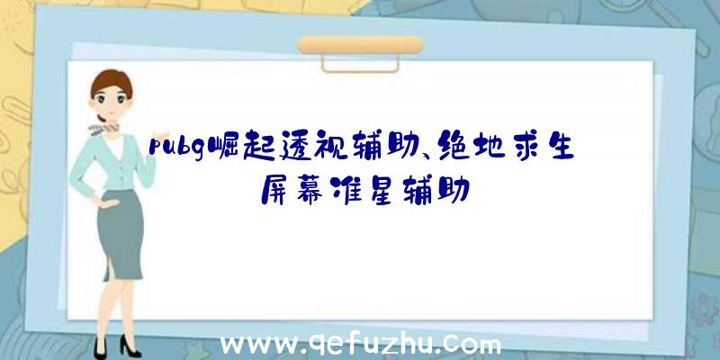 pubg崛起透视辅助、绝地求生屏幕准星辅助