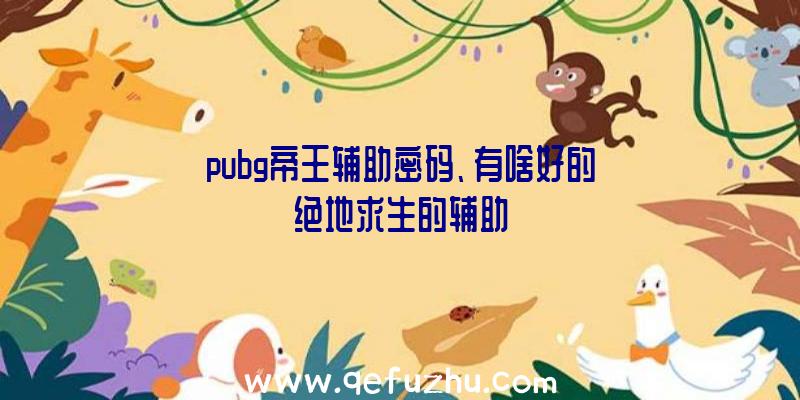 pubg帝王辅助密码、有啥好的绝地求生的辅助