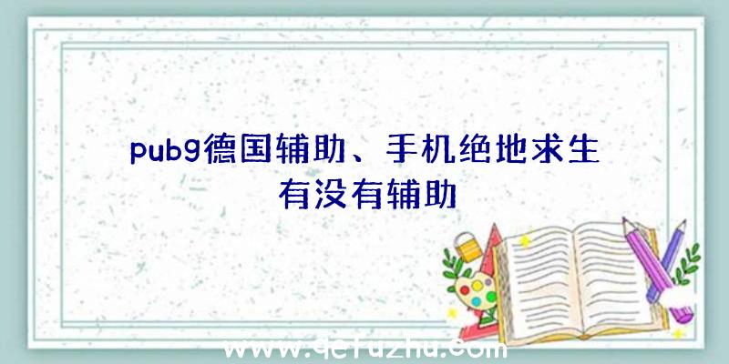 pubg德国辅助、手机绝地求生有没有辅助