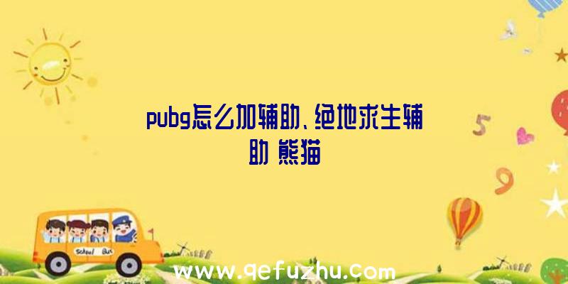 pubg怎么加辅助、绝地求生辅助