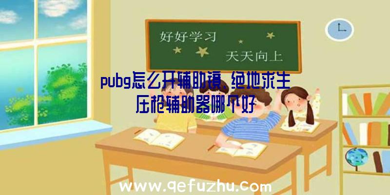 pubg怎么开辅助镜、绝地求生压枪辅助器哪个好