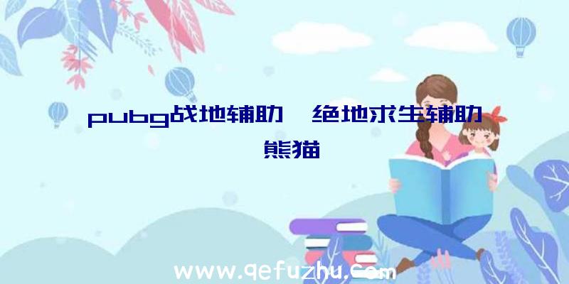 pubg战地辅助、绝地求生辅助