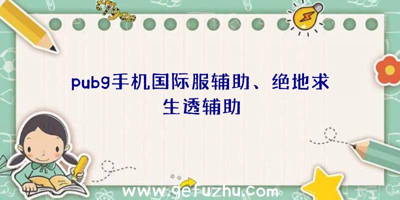 pubg手机国际服辅助、绝地求生透辅助