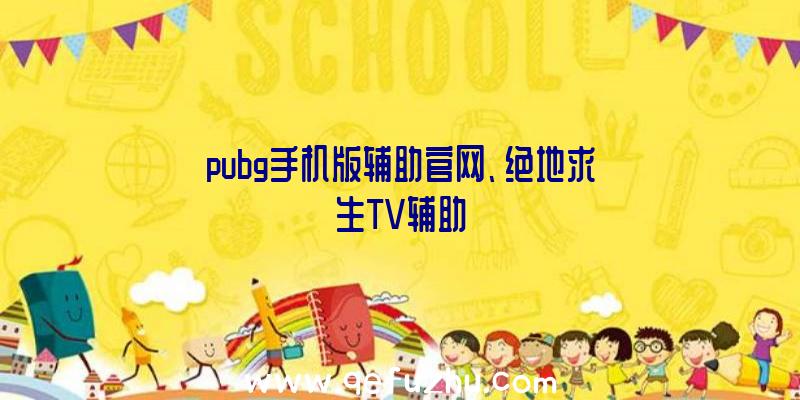 pubg手机版辅助官网、绝地求生TV辅助