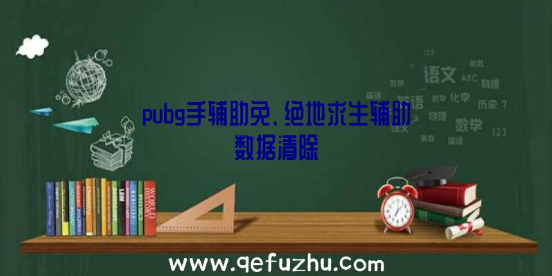 pubg手辅助免、绝地求生辅助数据清除