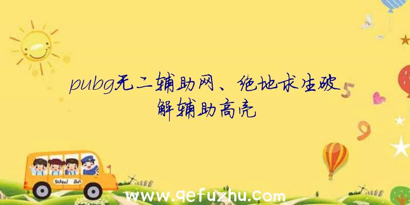 pubg无二辅助网、绝地求生破解辅助高亮