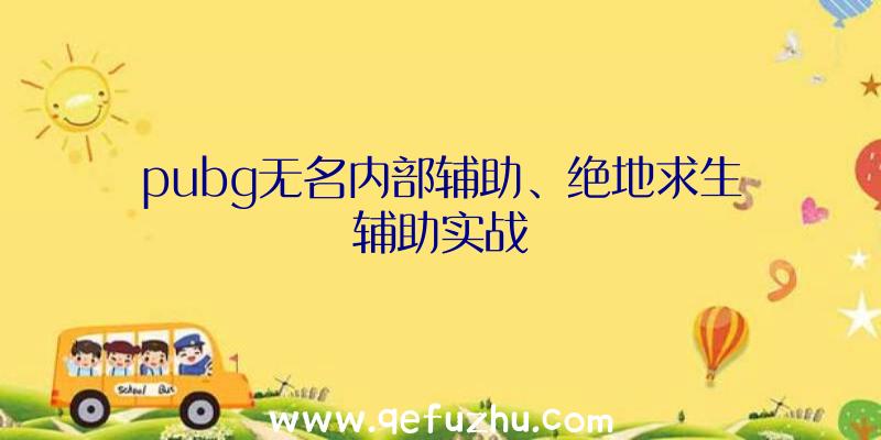 pubg无名内部辅助、绝地求生辅助实战