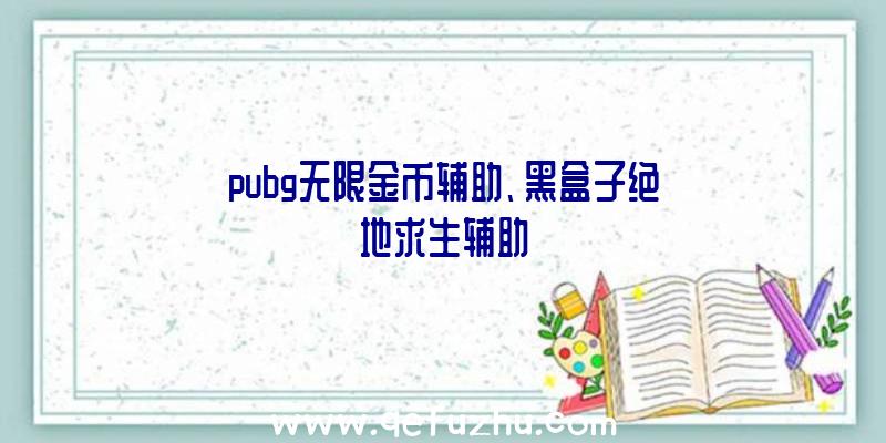 pubg无限金币辅助、黑盒子绝地求生辅助