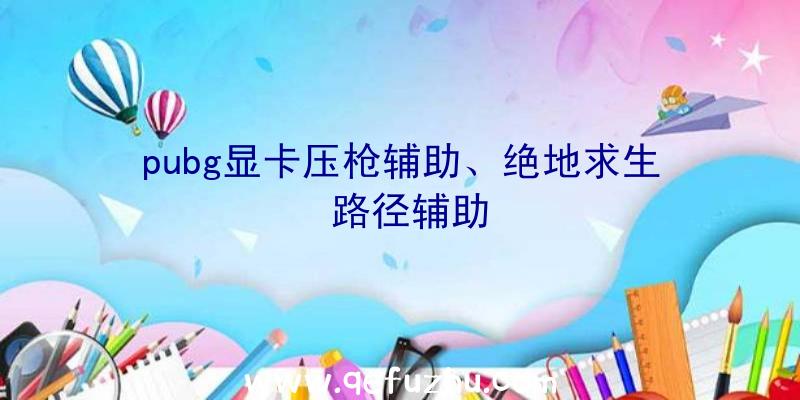 pubg显卡压枪辅助、绝地求生