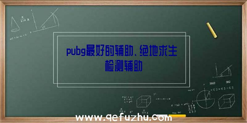 pubg最好的辅助、绝地求生