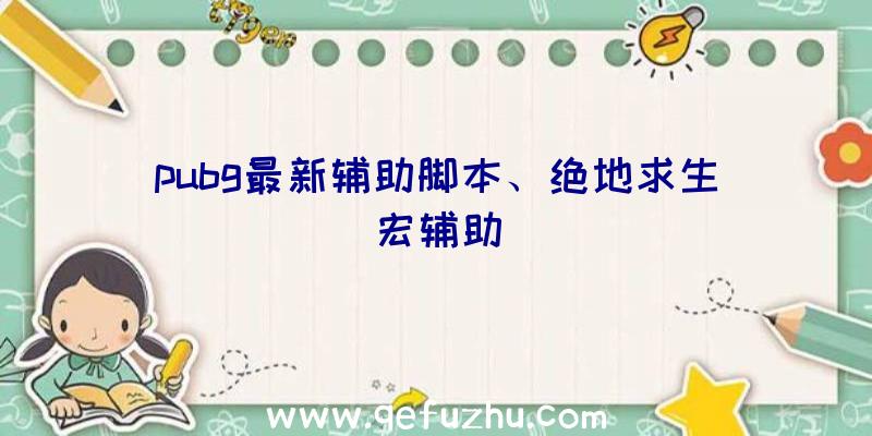 pubg最新辅助脚本、绝地求生宏辅助