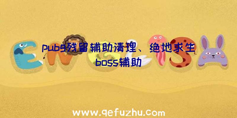 pubg残留辅助清理、绝地求生boss辅助