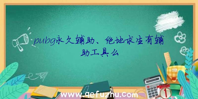 pubg永久辅助、绝地求生有辅助工具么