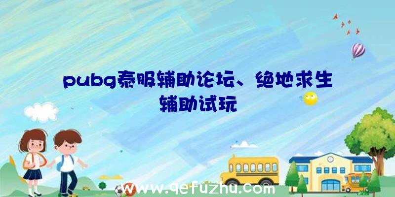 pubg泰服辅助论坛、绝地求生辅助试玩