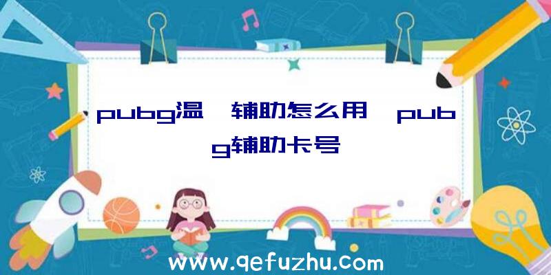 pubg温迪辅助怎么用、pubg辅助卡号