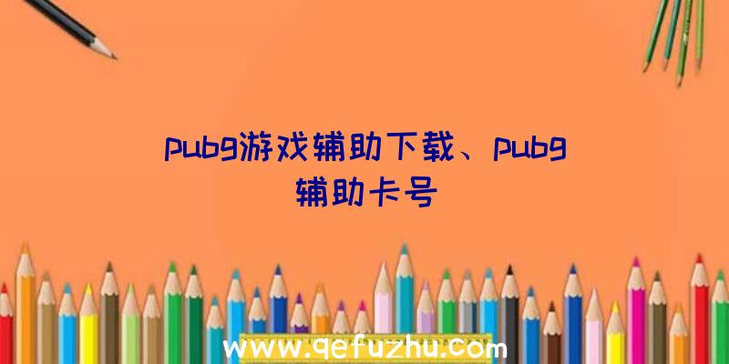 pubg游戏辅助下载、pubg辅助卡号